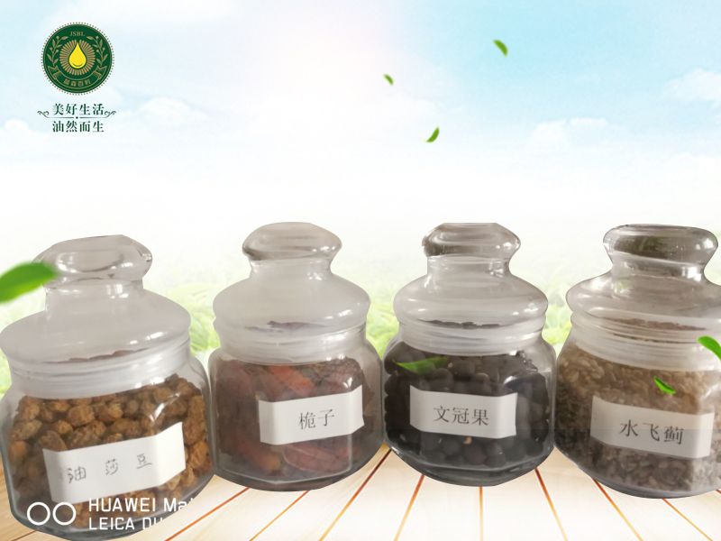 油莎豆、梔子、文冠果、水飛薊